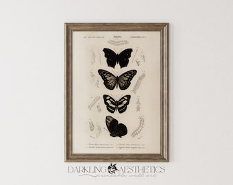 Dark Butterflies Print | Vintage Moody Victorian Insect Chart Cottagecore Printable Wall Art | Dark Academia Aesthetic | Digital Download