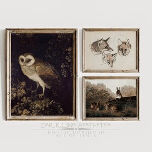 May include: Set of three vintage-style framed prints featuring a barn owl, a fox, and a pair of rabbits. The prints are in a dark brown frame with a gold trim. The prints are all in a dark, muted color palette.