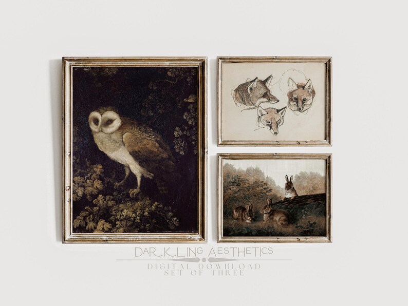 May include: Set of three vintage-style framed prints featuring a barn owl, a fox, and a pair of rabbits. The prints are in a dark brown frame with a gold trim. The prints are all in a dark, muted color palette.