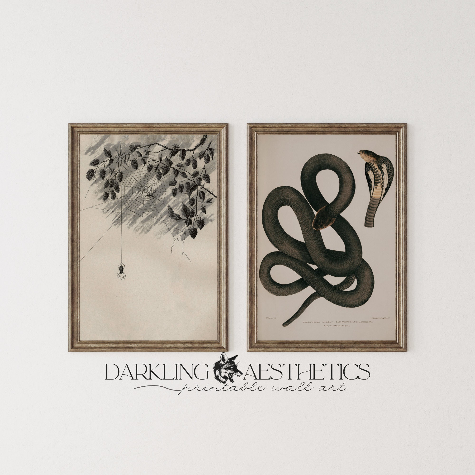 Set of 6 Dark Academia Prints | Vintage Moody Victorian Gothic ...