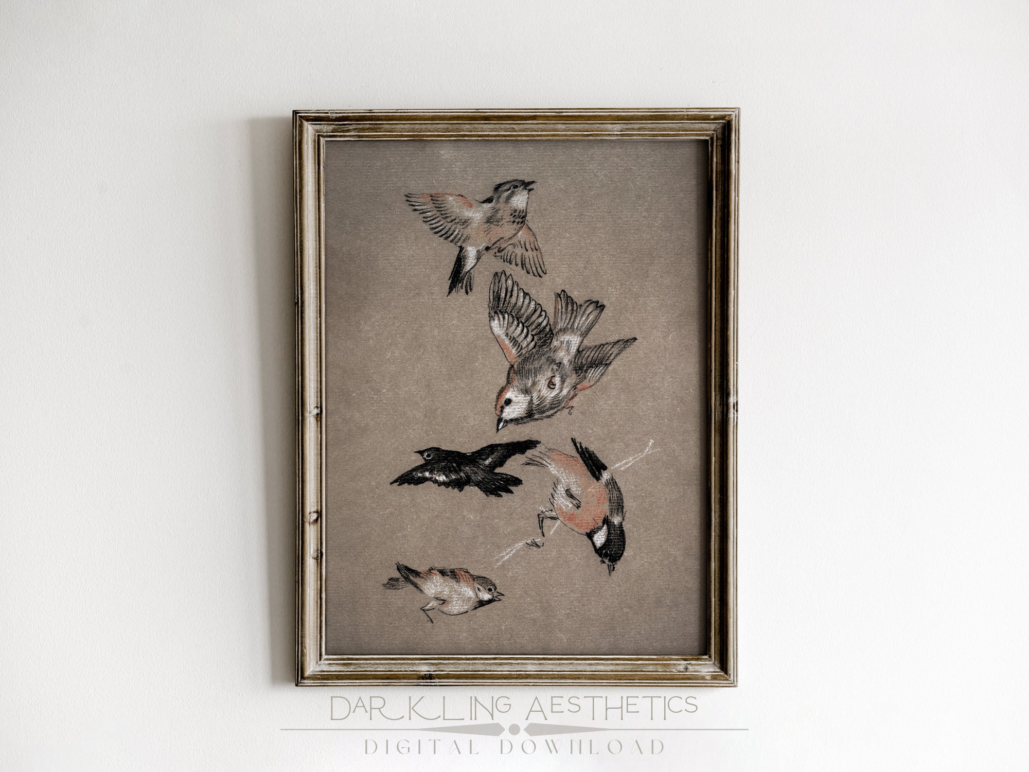 Bird Study Print | Vintage Moody Victorian Dark Cottagecore Birds Printable Wall Art | Dark Academia Aesthetic | Digital Download