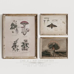 May include: Set of three vintage botanical prints in ornate frames. The prints feature detailed illustrations of mushrooms, a moth, and flowers. The prints are in shades of brown, green, and pink.