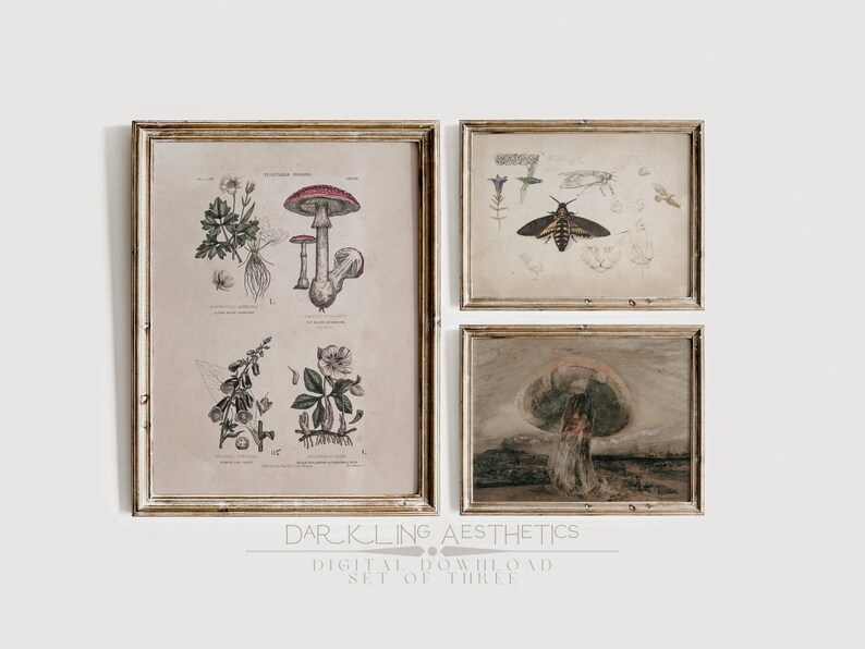 May include: Set of three vintage botanical prints in ornate frames. The prints feature detailed illustrations of mushrooms, a moth, and flowers. The prints are in shades of brown, green, and pink.