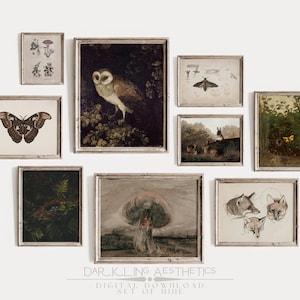 May include: A set of eight framed prints with a dark aesthetic. The prints feature images of a barn owl, a moth, a butterfly, a mushroom, a nest with birds, a group of rabbits, a forest scene, and three fox heads.