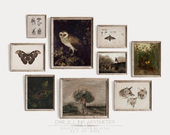 Set of 9 Dark Cottagecore Prints | Vintage Moody Botanical Woodland Printable Gallery Wall Art | Mushrooms, Moth, Forest | Digital Download