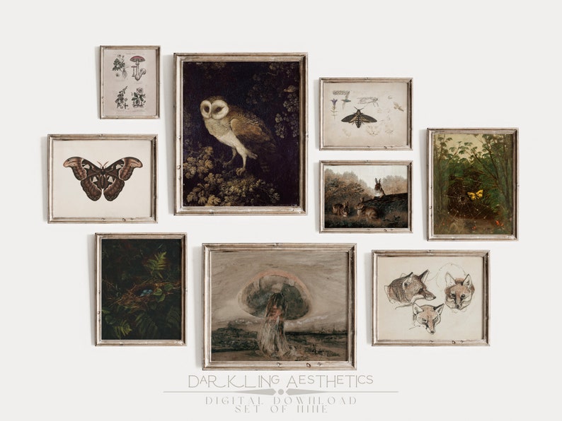 May include: A set of eight framed prints with a dark aesthetic. The prints feature images of a barn owl, a moth, a butterfly, a mushroom, a nest with birds, a group of rabbits, a forest scene, and three fox heads.