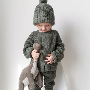 Puede incluir: Un ni&ntilde;o con un su&eacute;ter de punto verde y un gorro a juego con un pomp&oacute;n, sosteniendo un juguete de dinosaurio de peluche marr&oacute;n.