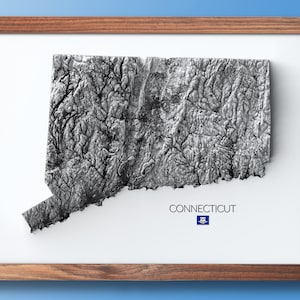 May include: A framed black and white topographical map of the state of Connecticut. The map is raised and textured, giving it a 3D effect. The state's name and flag are printed below the map.