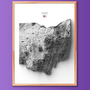 Ohio Print | Housewarming Gift | Relief Map | Modern Wall Art | Unique Home Gift- 2D (Flat) - No Frame