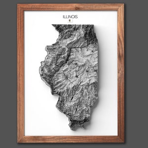 Impression de l'Illinois | Cadeau de pendaison de crémaillère | Carte du relief | Art mural moderne | Cadeau pour la maison unique - 2D (plat) - Sans cadre