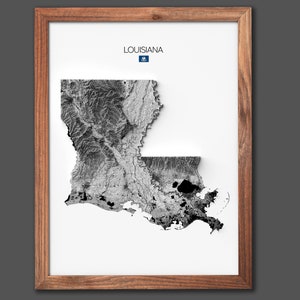 État de la Louisiane | Cadeau de pendaison de crémaillère | Carte du relief | Art mural moderne | Cadeau pour la maison unique - 2D (plat) - Sans cadre
