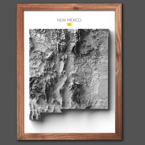 Carte de l'État du Nouveau-Mexique | Cadeau pour maison neuve | Carte du relief | Art mural moderne | Cadeau unique | Inspiration Maps - 2D (plat) - Sans cadre