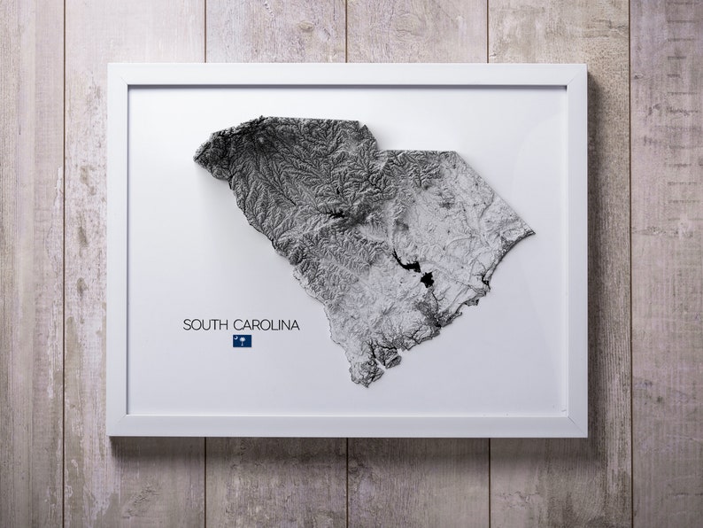 South Carolina Topographic Map Print: Modern Home Wall Art - Etsy