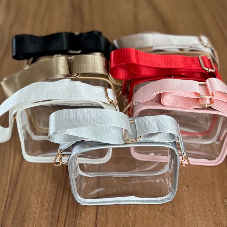 May include: Six clear plastic bags with different colored straps. The straps are black, gold, red, pink, white, and gray. The bags have gold hardware.