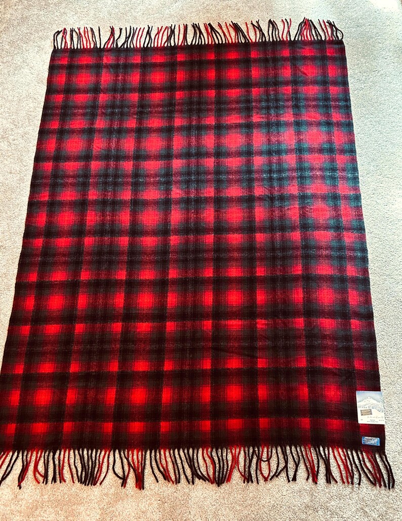 Pu&ograve; includere: Una coperta a quadri rossi e neri con frange sui bordi. La coperta presenta un classico motivo tartan, con una griglia di linee intersecanti rosse e nere. Le frange sono nere e rosse.