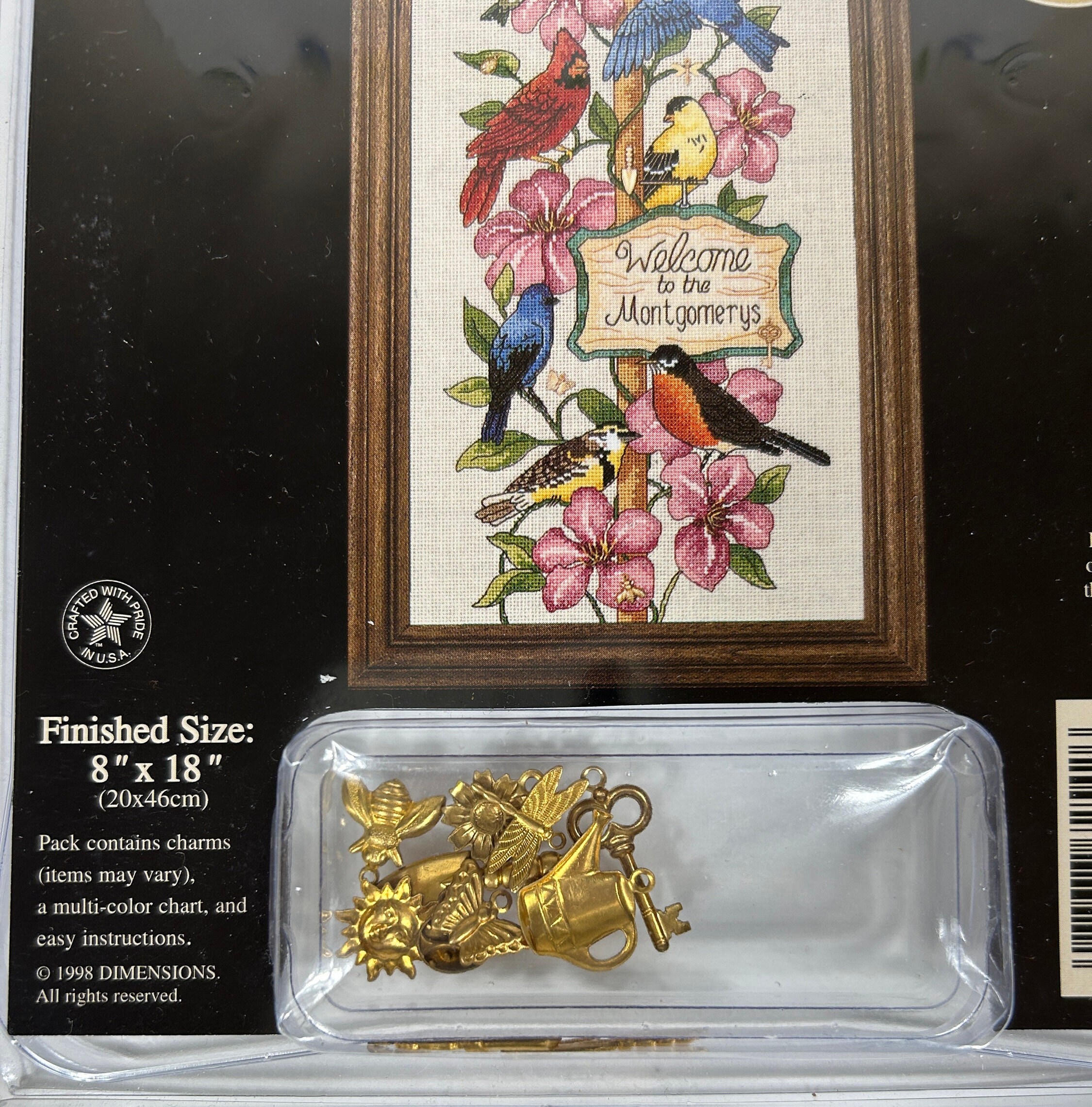 Dimensions Charts & Charms Cross Stitch Friends Kit Etsy Canada