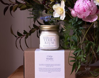 Terrarium Scented Candle | Earthy Calamus, Cypress, Oakmoss, Vetiver