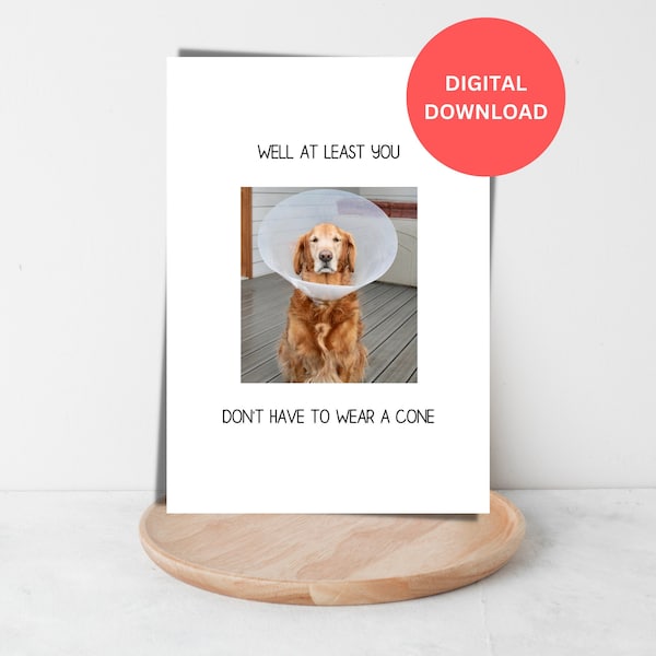 Funny get well soon card printable Wishing well Get better soon At least you don't have to wear a cone Dog get well card Surgery card