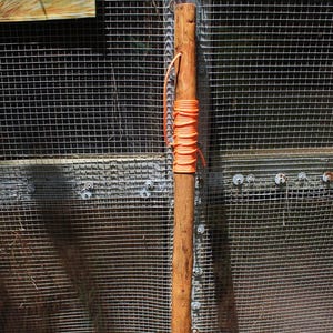 Walking Stick 6
