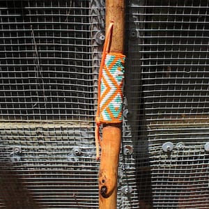 Walking Stick 1