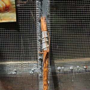 Walking Stick 3