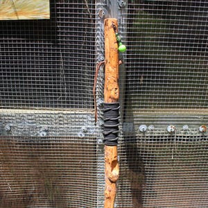 Walking Stick 5