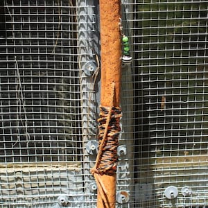 Walking Stick 2