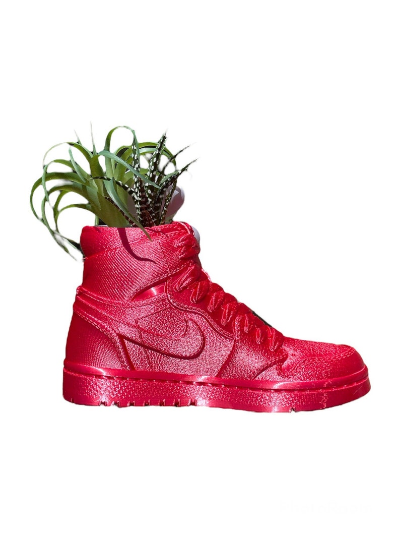Nike Jordan 1 Sneaker Planter Shoe Pot Shoe Planter Sneakerhead Gifts