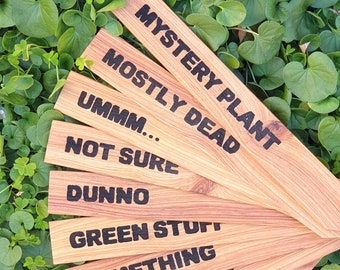 Funny Plant Labels for Brown Thumbs, Witty Garden Markers for New Gardeners, Wood Gardening Tags Stakes Plant Lovers Gift
