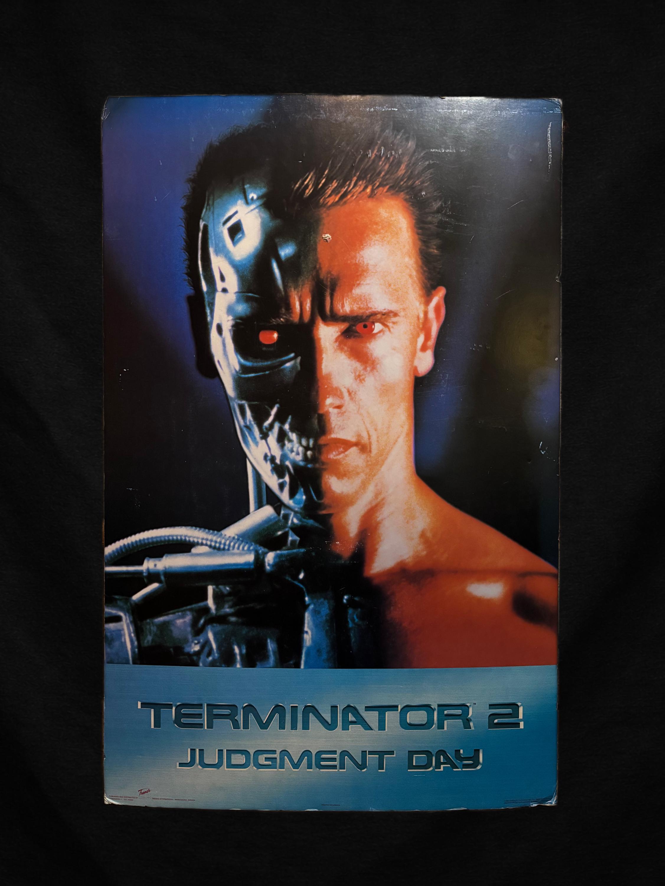 Terminator Display Picture Original 1991 Terminator 2 Judgement Day Theater Display Poster 22x35 ...