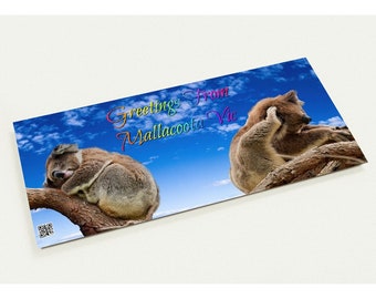Mallacoota Koala Pair Pack of 10 cards (2-sided, DL standard envelopes)