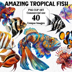 Incroyable clipart aquarelle poisson tropical, sous-marin Sea Life Téléchargement instantané usage Commercial, PNG Transparent animaux Sublimation Bundle