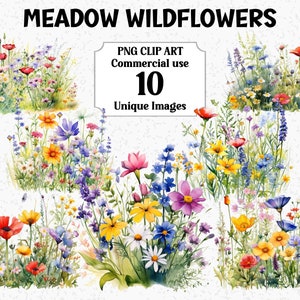 Aquarelle de fleurs sauvages des prés, scènes florales de cliparts, décorations artisanales par sublimation, téléchargement numérique à usage commercial, paquet PNG transparent