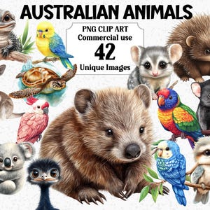 Clipart animaux australiens, aquarelle Koala Dingo kangourou Wombat, Australie jour Téléchargement instantané Téléchargement instantané, Sublimation Bundle
