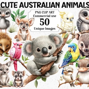 Süße australische Tiere Clipart, Aquarell Baby Aussie Koala Dingo Schnabeltier Emu Känguru Wombat, Sofort Download, PNG Sublimationspaket