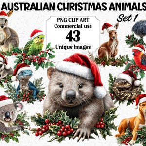 Ensemble de clipart animaux de Noël australien 1, aquarelle animaux koala, kangourou, oiseaux, téléchargement immédiat, lot de sublimation PNG Noël australien