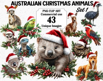 Australian Christmas Animals Clipart Set 1, Watercolor Animals Koala, Kangaroo, Birds, Instant Download, Aussie Xmas PNG Sublimation Bundle