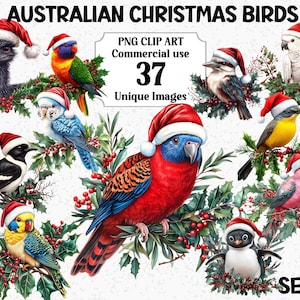 Australijskie świąteczne ptaki Clipart Set 2, akwarela Galah, pingwin mewa sroka emu, natychmiastowe pobieranie, australijski pakiet sublimacji PNG Xmas