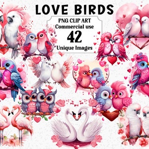 Love Birds aquarelle Clipart, cartes de Saint Valentin invitations, créations, téléchargement immédiat, cygnes à usage commercial PNG Transparent sublimation Bundle