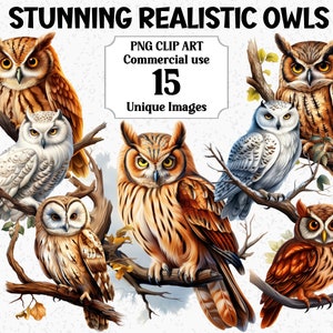Atemberaubende realistische Eulen Aquarell Vögel Clipart, Digital & Papier Handwerk, Sofortiger Download Kommerzielle Verwendung Transparente PNGs Sublimationspaket