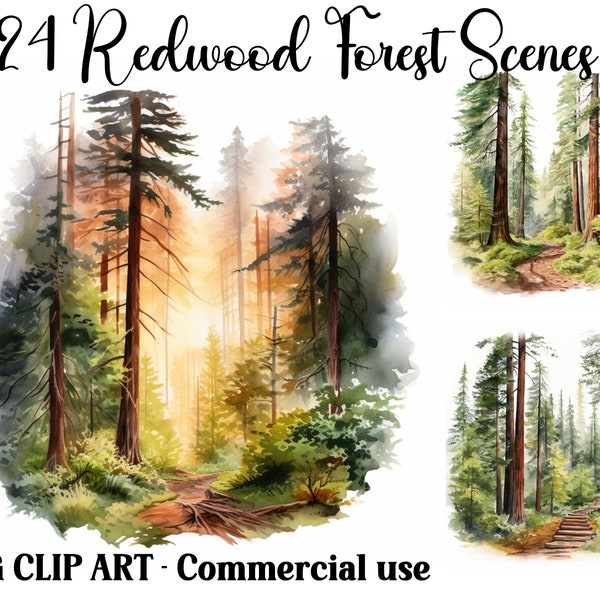 Redwood Forest Scenes Watercolor Clipart, Digital & Paper Craft, Instant Download seasonal forest landscape backgrounds, Commercial use JPGs