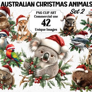 Ensemble de 2 cliparts animaux de Noël australien, aquarelle animaux Koala, kangourou, oiseaux, téléchargement immédiat, Aussie Xmas PNG Sublimation Bundle