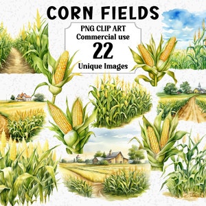 Cenas de agricultura em campos de milho, clipart em aquarela, sublimação digital de natureza, download instantâneo, uso comercial, pacote PNG transparente