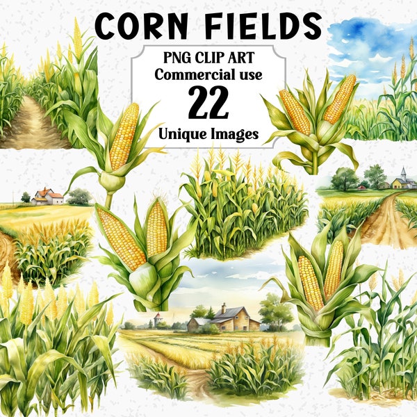 Corn Fields Farming Scenes Watercolor Clipart, Digital Crop Nature Sublimation, Instant Download Commercial use Transparent PNG bundle
