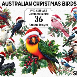Australische kerstvogels clipart set 1, aquarel papegaai, kookaburra, emu, kaketoe direct downloaden, Aussie Xmas PNG-sublimatiebundel