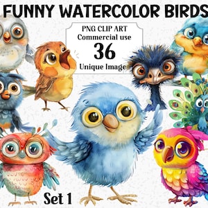 Ensemble de clipart drôle d'oiseaux aquarelle 1, animaux lunatiques originaux, téléchargement immédiat, usage commercial, hiboux, lot de sublimation PNG transparent