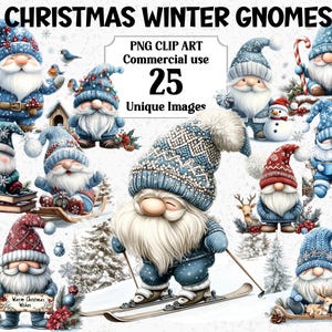 Kerst winter kabouters clipart, digitale ambachtelijke decoraties, instant download, commercieel gebruik transparante aquarel png sublimatiebundel