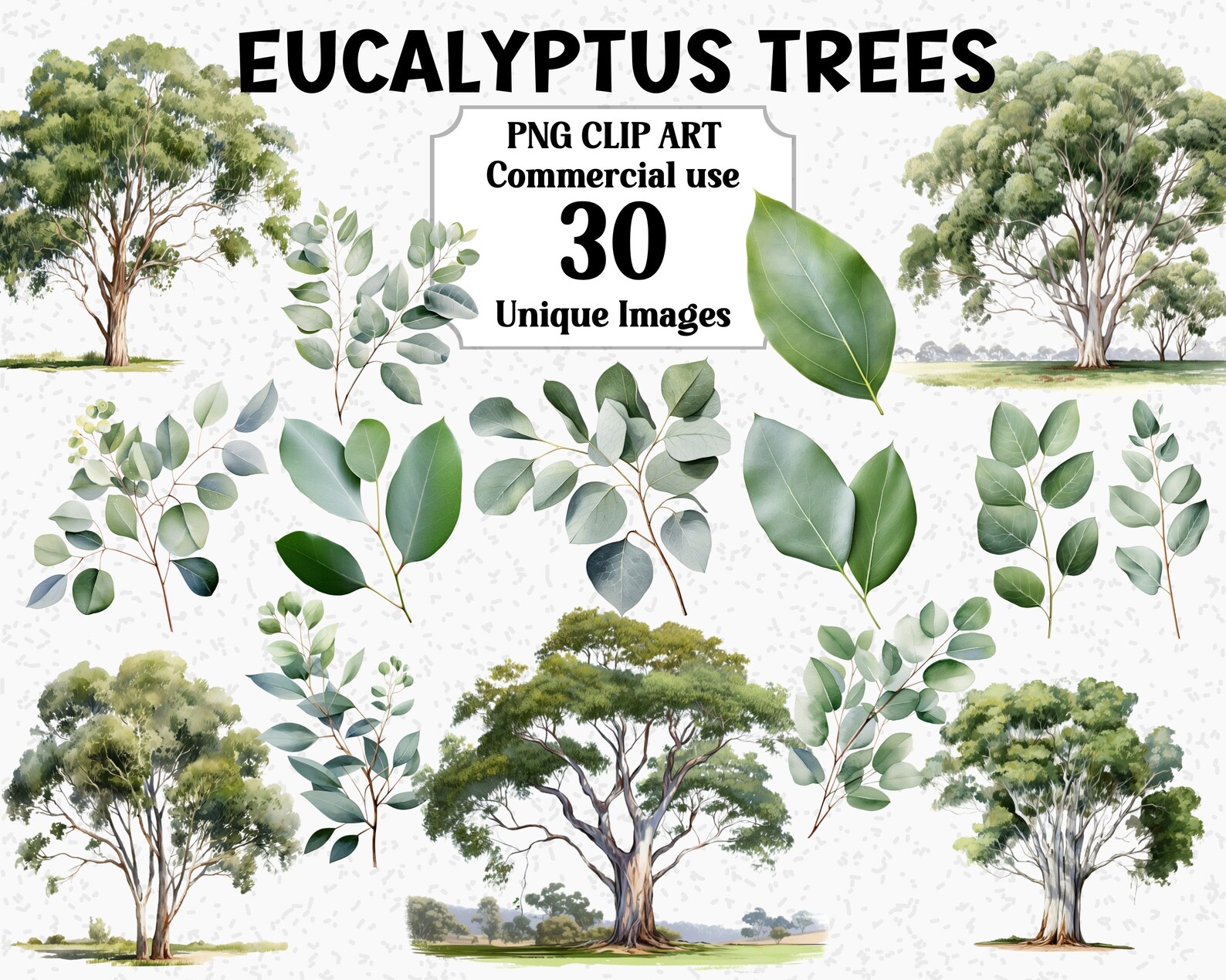 Eucalyptus Trees Watercolor Clipart, Digital Nature Leaves Sublimation ...