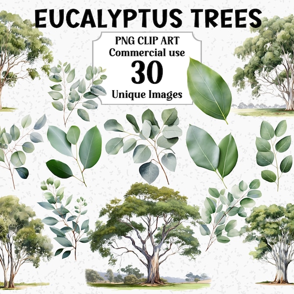 Eucalyptus Trees Watercolor Clipart, Digital Nature Leaves Sublimation, Instant Download, Commercial use, Transparent PNG graphics bundle