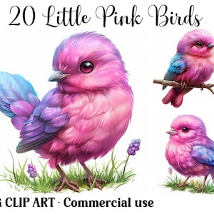 Kleine roze vogels aquarel clipart, Digital & Paper Craft, Instant Download, Achtergronden van dierlijke natuur, Commercieel gebruik JPG-bundel